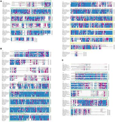 The Characteristic of Critical Genes in Neuroendocrine System and Their Regulation on Food Habit Transition and Metamorphosis of Veined Rapa Whelk Rapana venosa (Valenciennes, 1846)